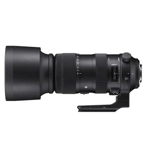 150-600mm F5-6.3 DG OS HSM Sports テレコンバーターキット ニコン用