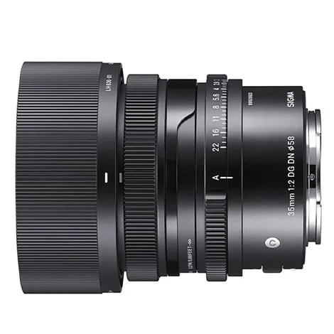 35mm F2 DG DN ソニーE用