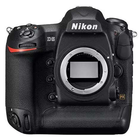 D5 XQD-Type ボディ