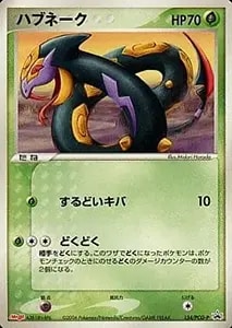 ハブネーク&nbsp;134/PCG-P