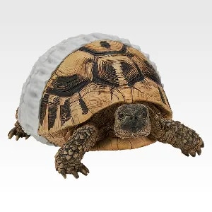 爬虫類　くじ　アオジタトカゲ　フトアゴヒゲトカゲ　ヘルマリンリクガメ　フィギュア 爬虫類 くじ アオジタトカゲ フトアゴヒゲトカゲ ヘルマリン