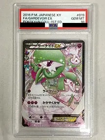 サーナイトEX(PSA10)