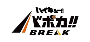 ハイキュー!!バボカ!!BREAK PSA10